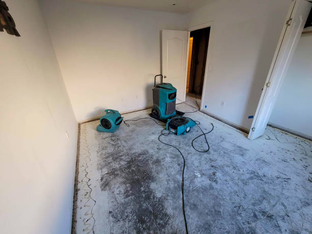 Best Basement water damage restoration  in Lake Pocotopaug, CT