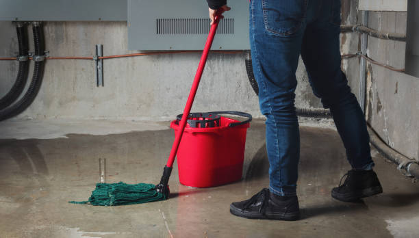 Best 24-hour water damage restoration  in Lake Pocotopaug, CT