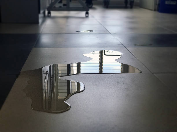 Best Local water damage restoration  in Lake Pocotopaug, CT