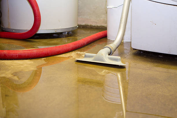 Best Water damage restoration near me  in Lake Pocotopaug, CT