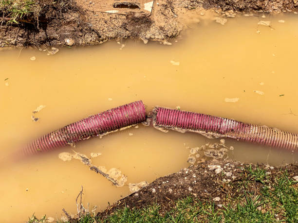 Sewage cleanup and water damage restoration in CT